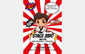 Stage Judo